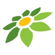 LINK PIONBET